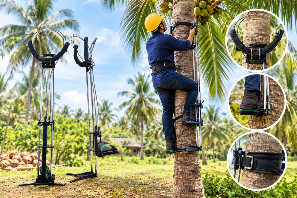 How to Choose the Best Coconut Tree Climber for Your Farm