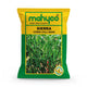 Hybrid Seeds