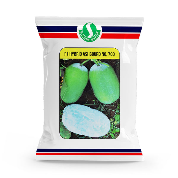 an image of a packet of ash gourd seeds