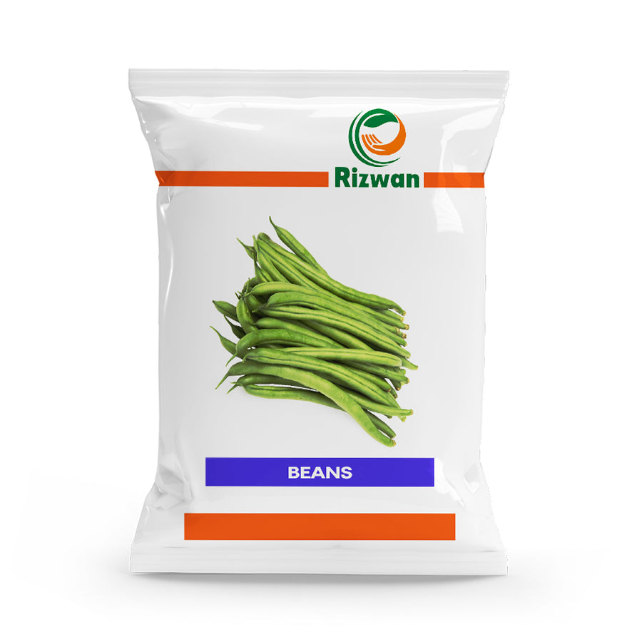 Beans