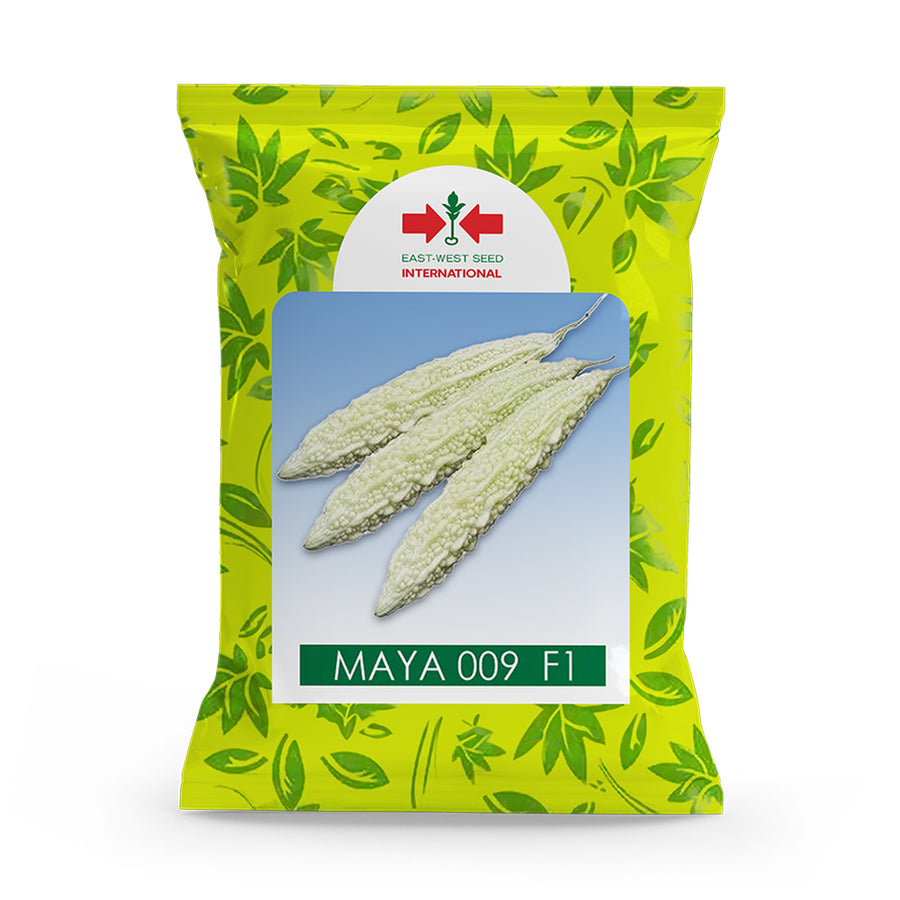 Bitter Gourd Maya 009 F1 Hybrid