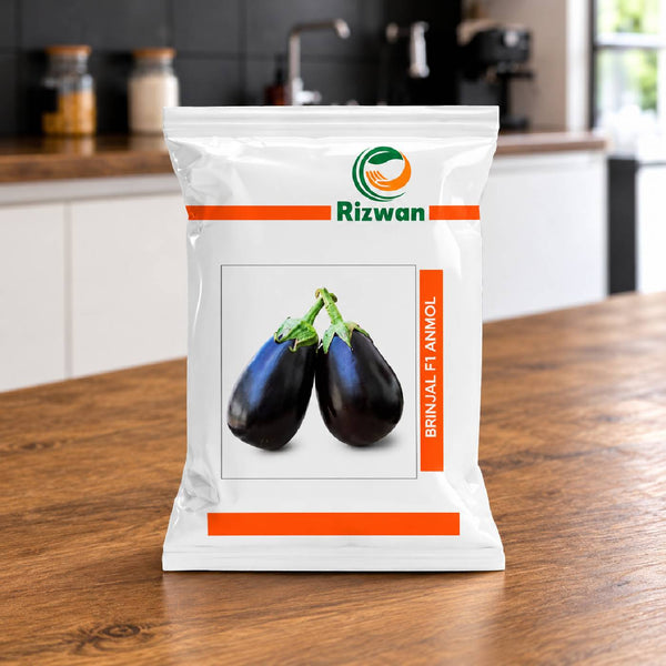 Brinjal F1 Anmol