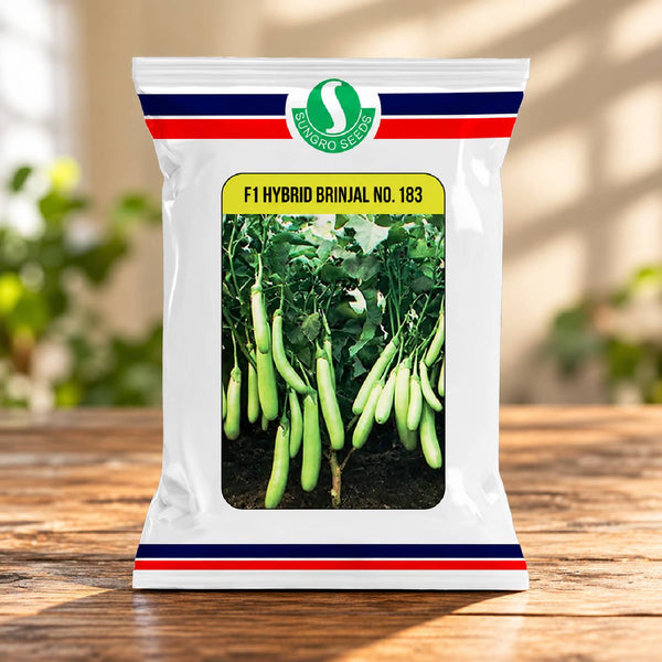 Brinjal No.183 F1 Hybrid