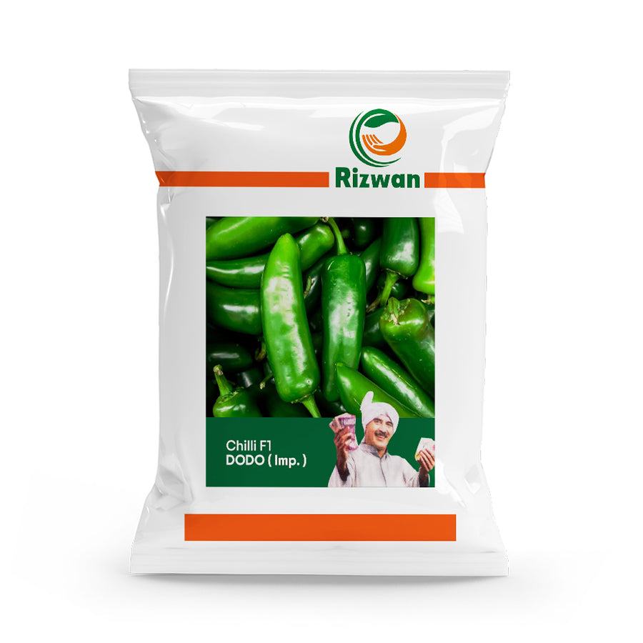 Chilli F1 Dodo (Imp)