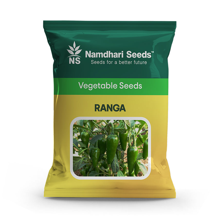 Chilli Ranga