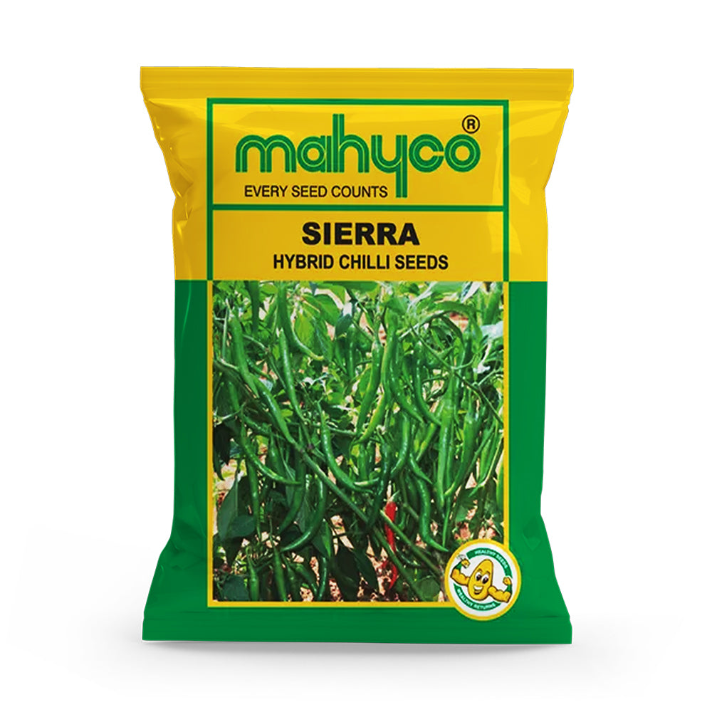 an image of a packet of Chilli Sierra F1 Hybrid seeds