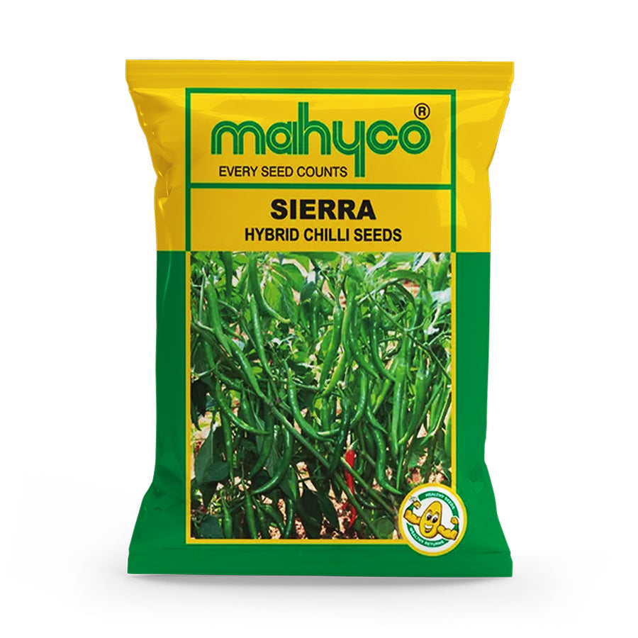 an image of a packet of Chilli Sierra F1 Hybrid seeds