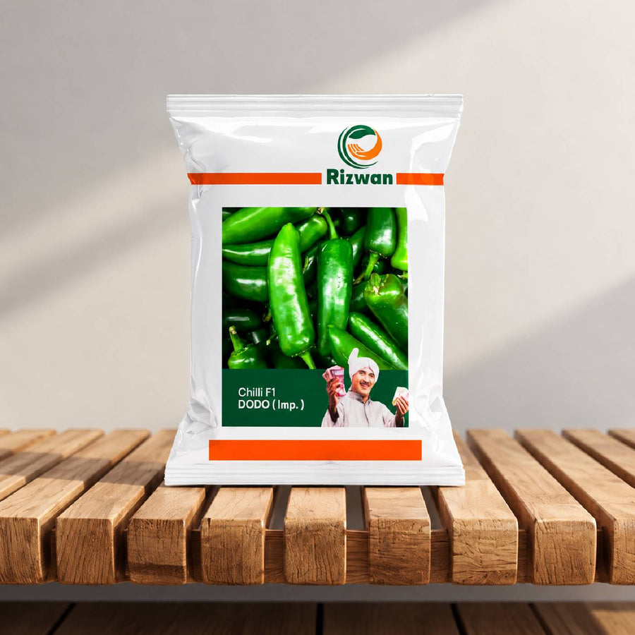 Chilli F1 Dodo (Imp)