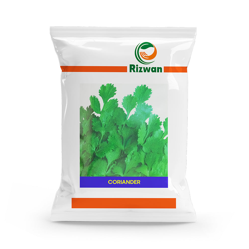 an image of a packet of coriander seeds