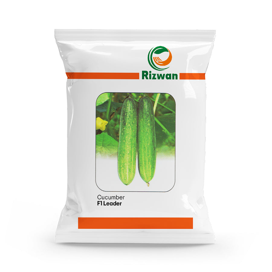 Cucumber F1 RSC 1846 (Leader)