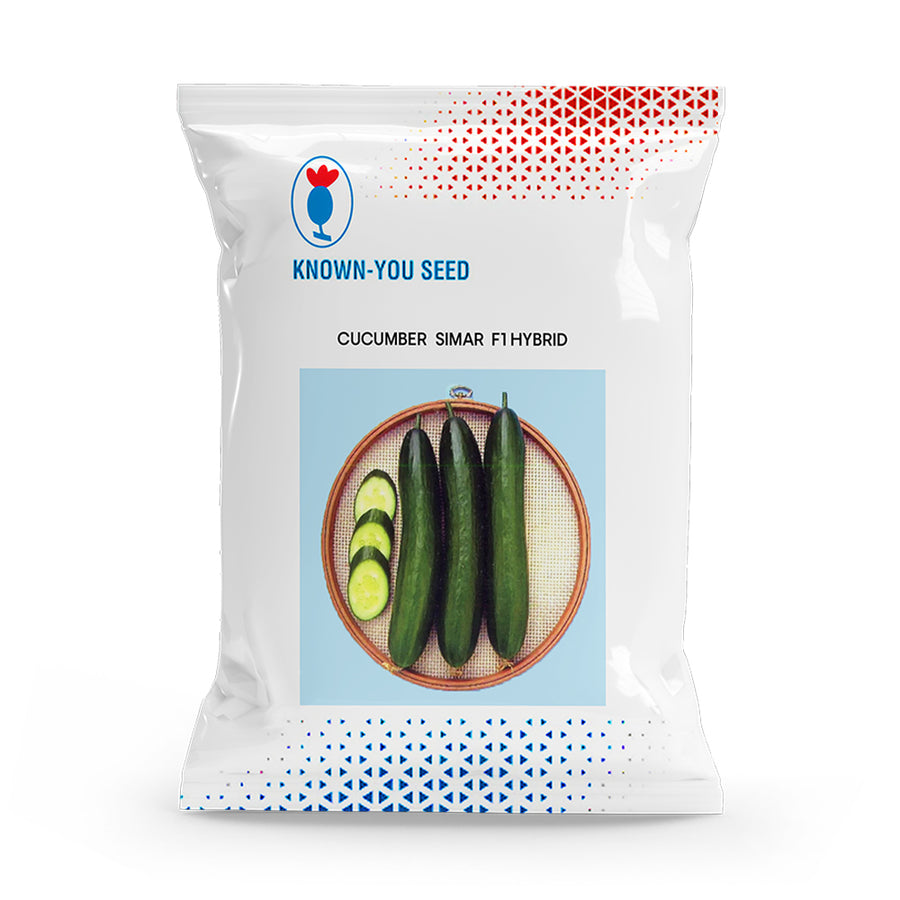 an image of a packet of Cucumber Simar F1 Hybrid seeds