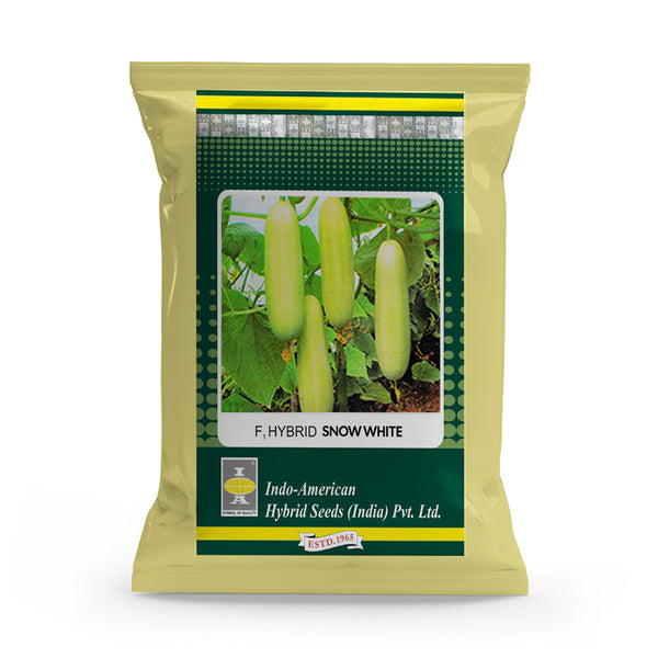Cucumber Snow White F1 Hybrid Seeds