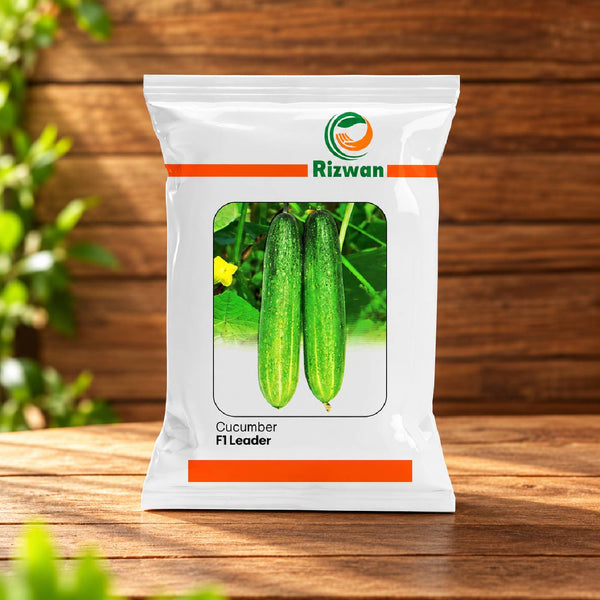 Cucumber F1 RSC 1846 (Leader)