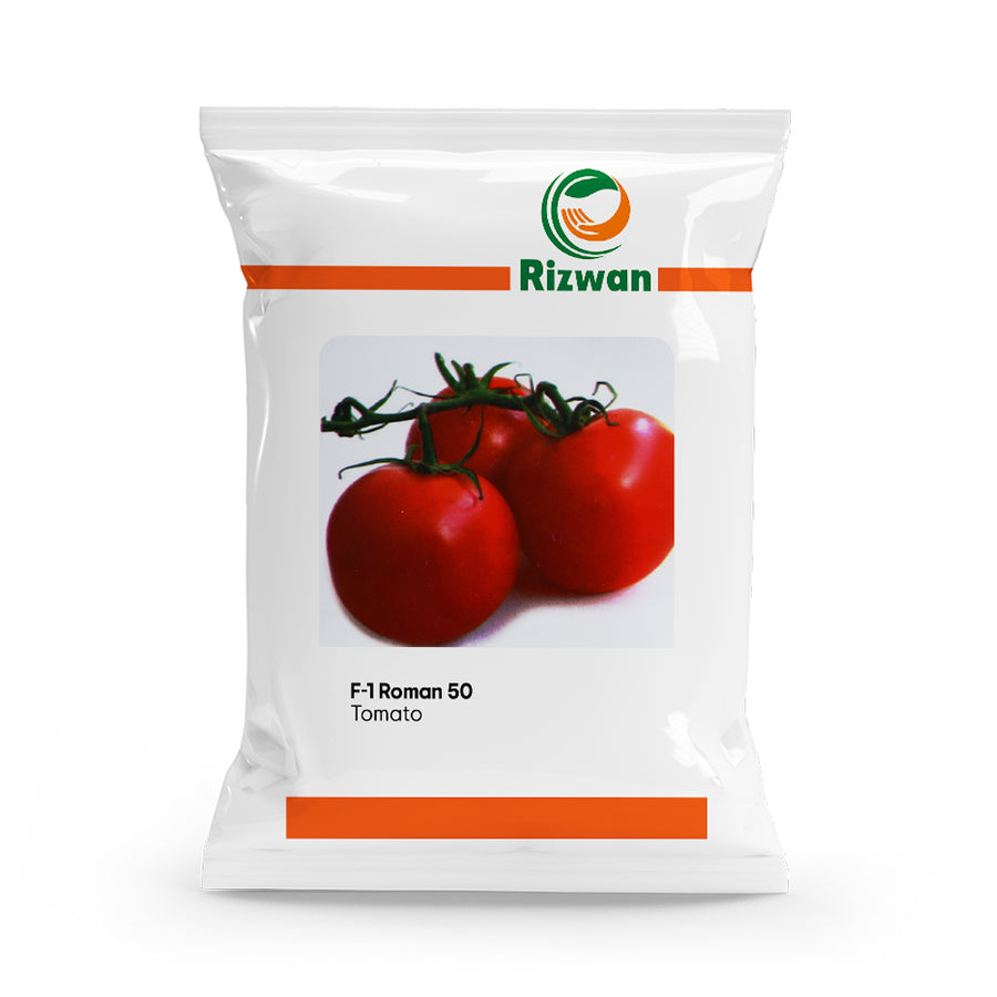 Tomato F1 Roman 50