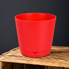 Krish 18 Pot