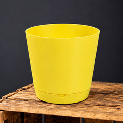 Krish 18 Pot