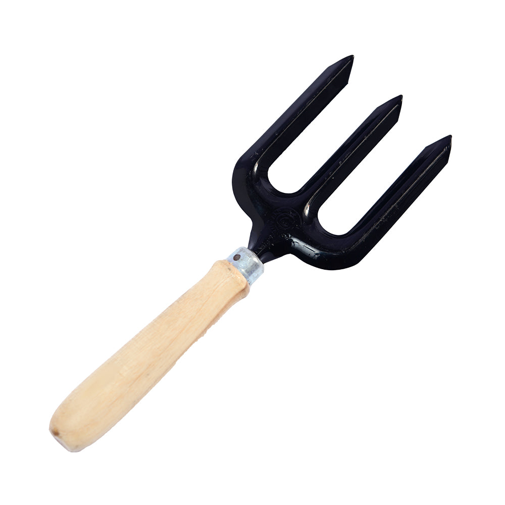 an image of a weedding fork