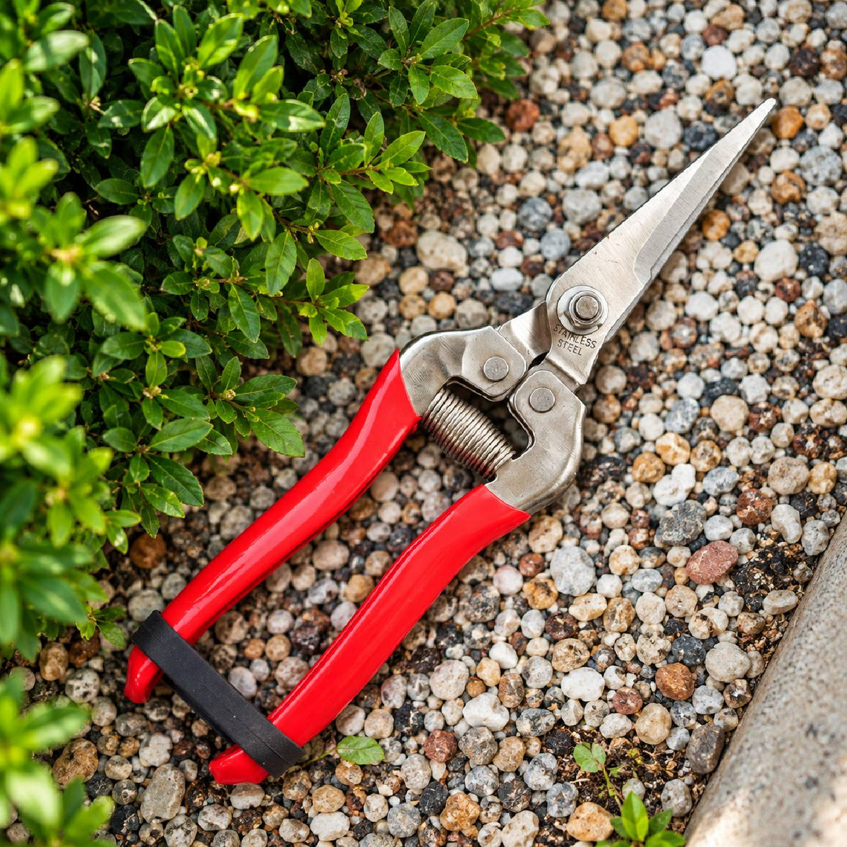 Pruning Shear - MMT 103T