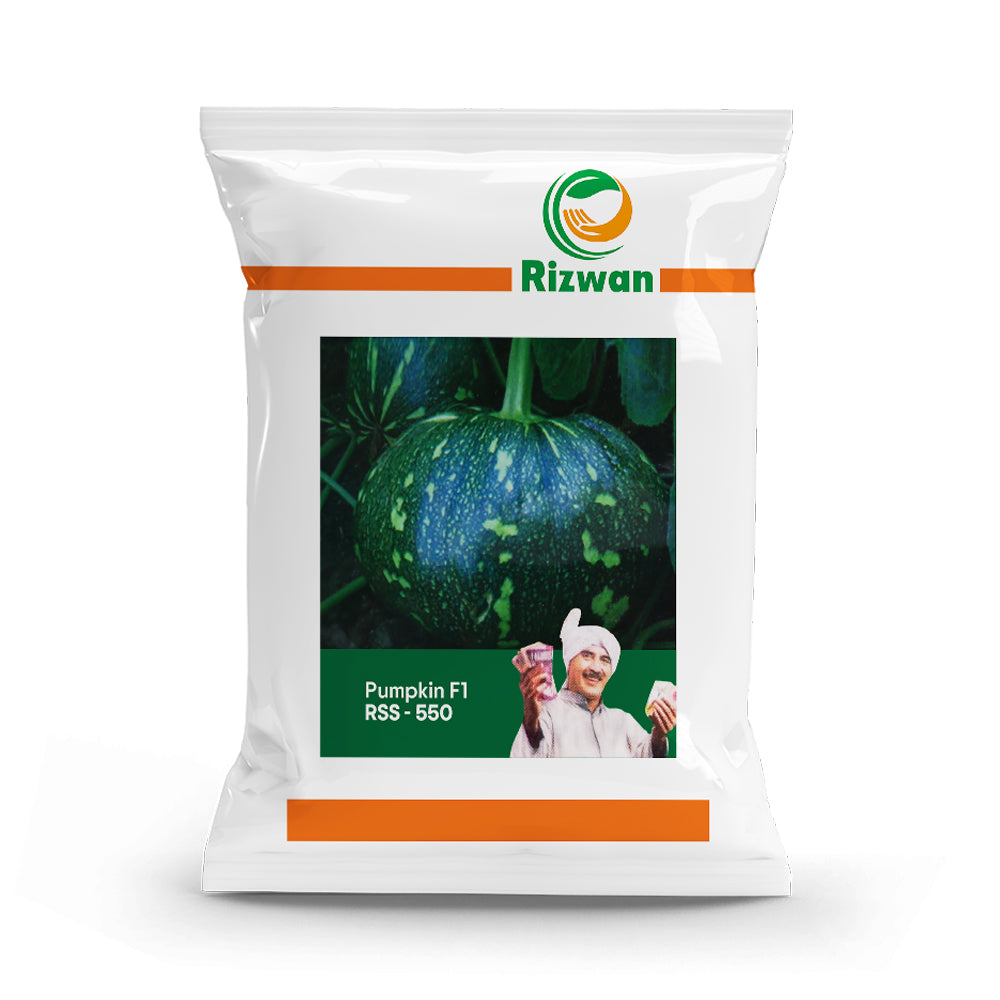 an image of a packet of Pumpkin F1 RSS 550 Seeds