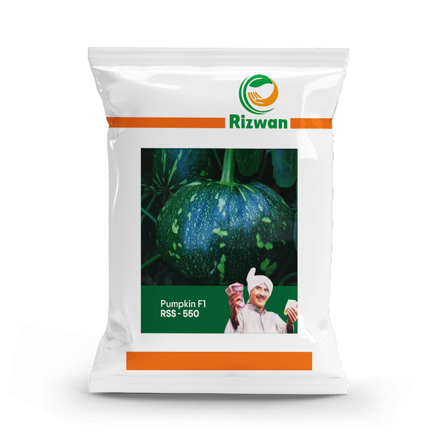 an image of a packet of Pumpkin F1 RSS 550 Seeds