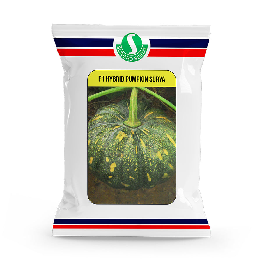an image of a packet of Pumpkin Surya F1 Hybrid seeds