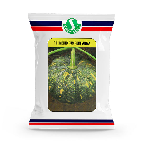 an image of a packet of Pumpkin Surya F1 Hybrid seeds