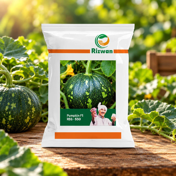 Pumpkin F1 RSS 550