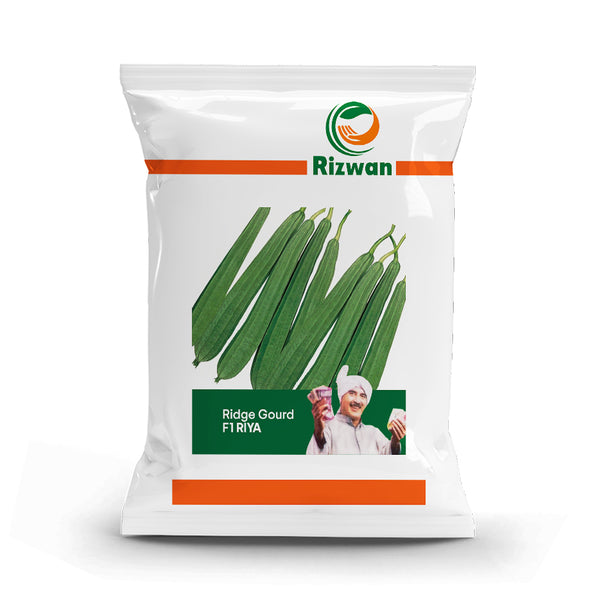 an image of a packet of Ridge Gourd Riya Seeds