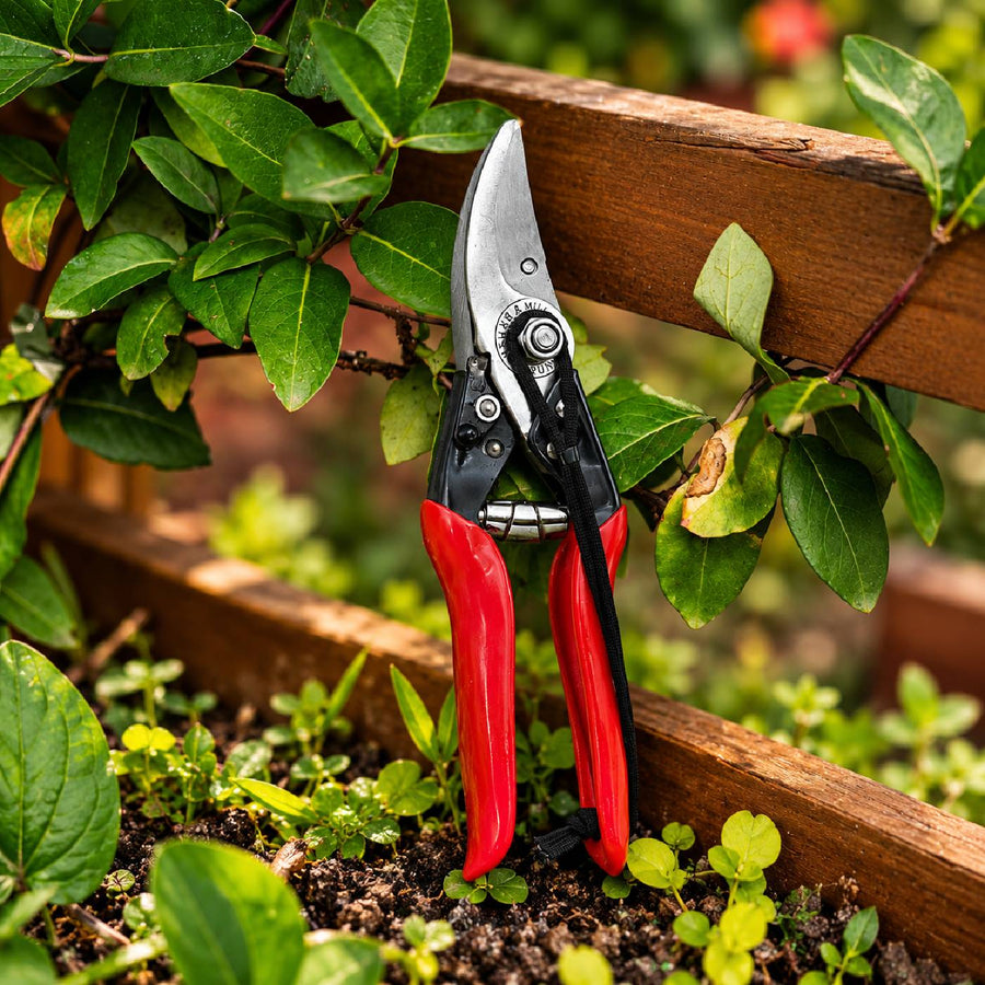 Shearing Type Pruning Secateurs - MMT 103B