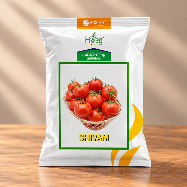 Shivam Tomato Seeds