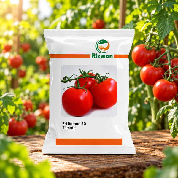 Tomato F1 Roman 50