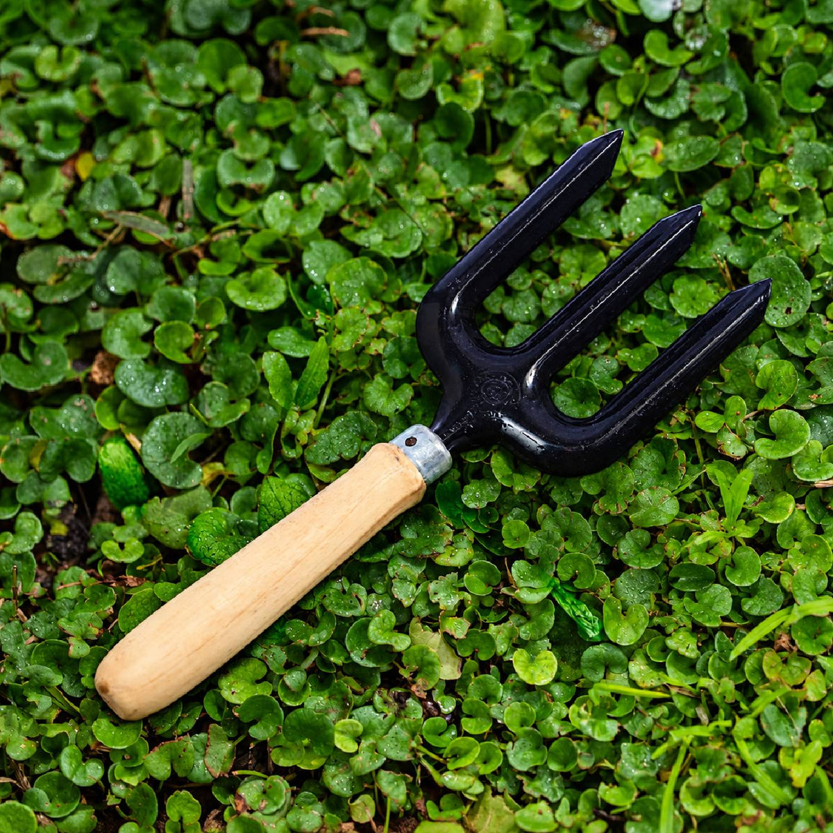 Weeding Fork - MMT 203C