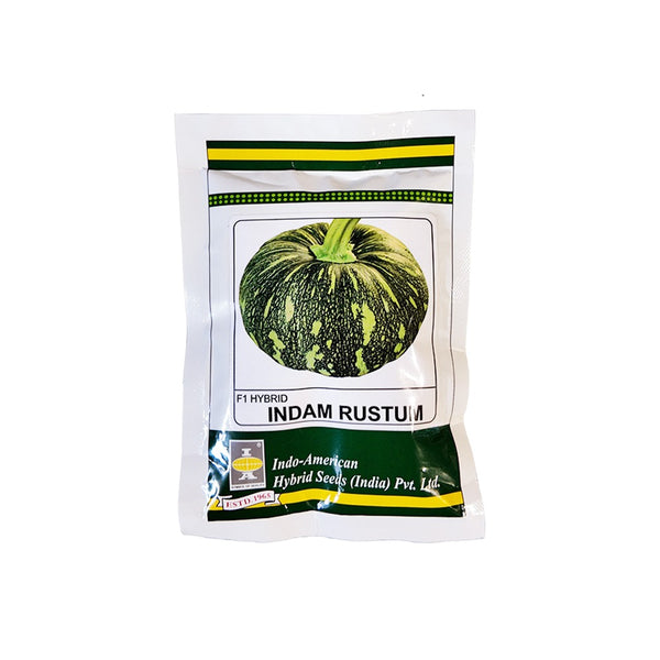 Pumpkin Indam Rustin Seeds 50g