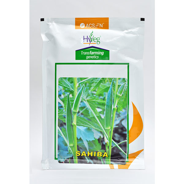 Sahiba Bhendi Seeds 100 gm