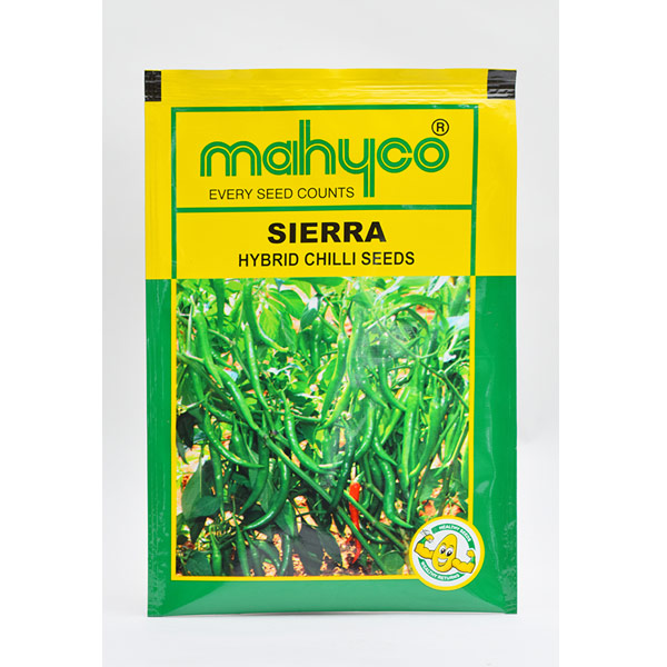 Sierra Hybrid Chilli Seeds 10 gm