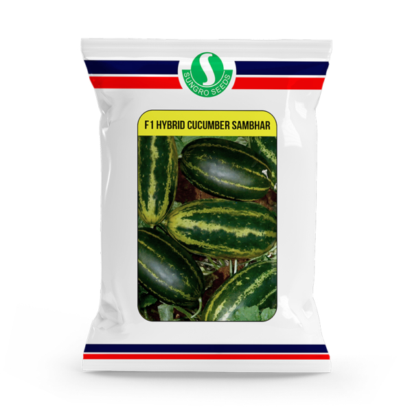 Sungro brand's Cucumber Sambar F1 Hybrid seeds packet