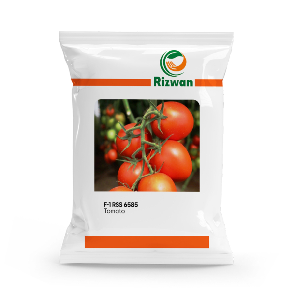 an image of a packet of Tomato F1 RSS 6585 seeds