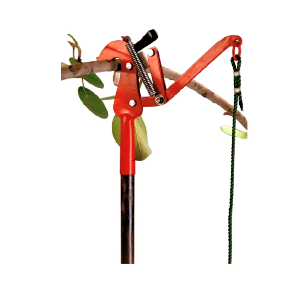 image of a tree pruner machine