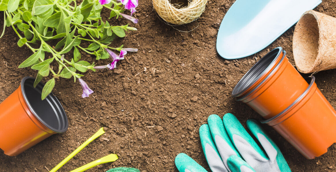 an image of essential gardening tools